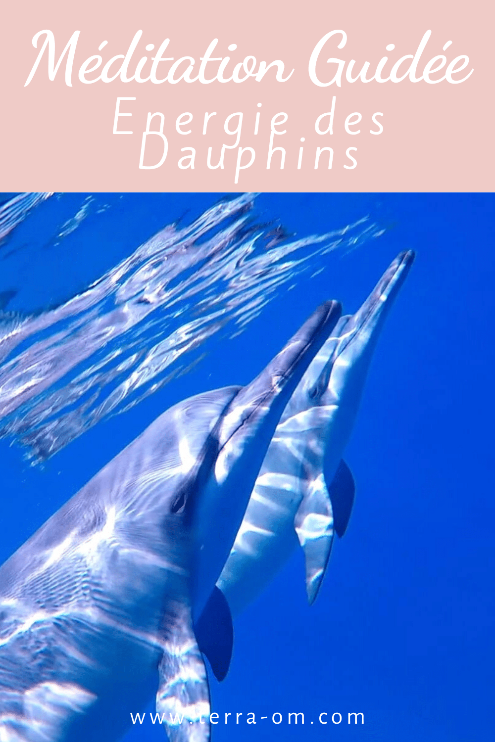 Méditation guidée avec l'énergie des dauphins